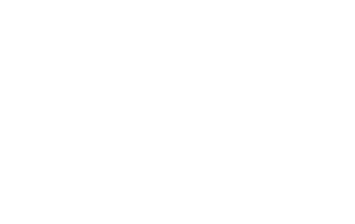 Iron Race Logo